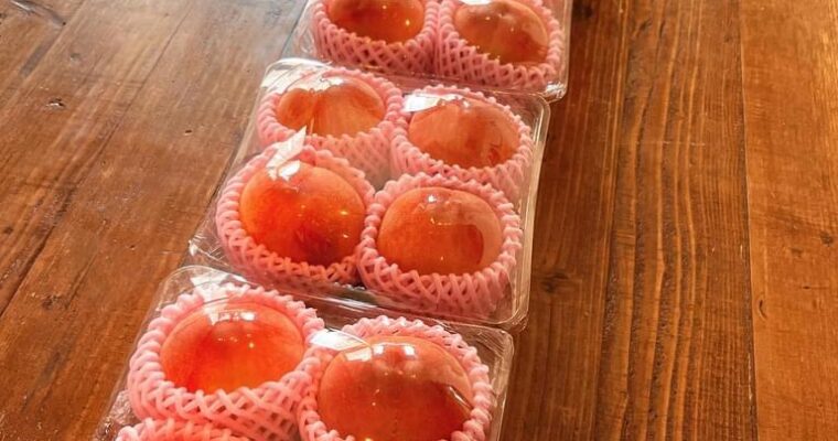 7月のお知らせ